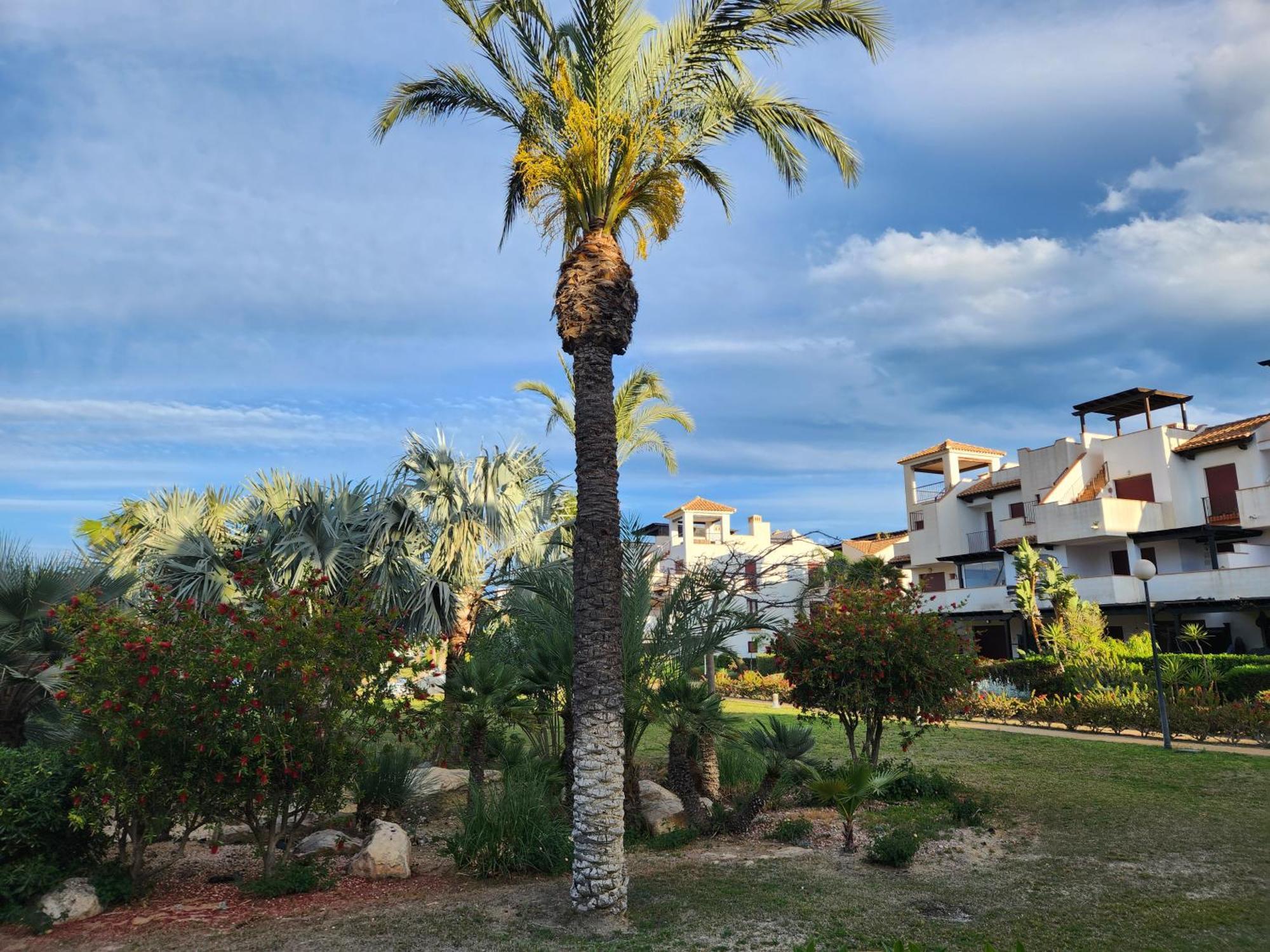 Precioso Bajo En Jardines De Nuevo Muy Cerca De La Piscina Comunitaria Y De La Salida A La Playa! * Vera