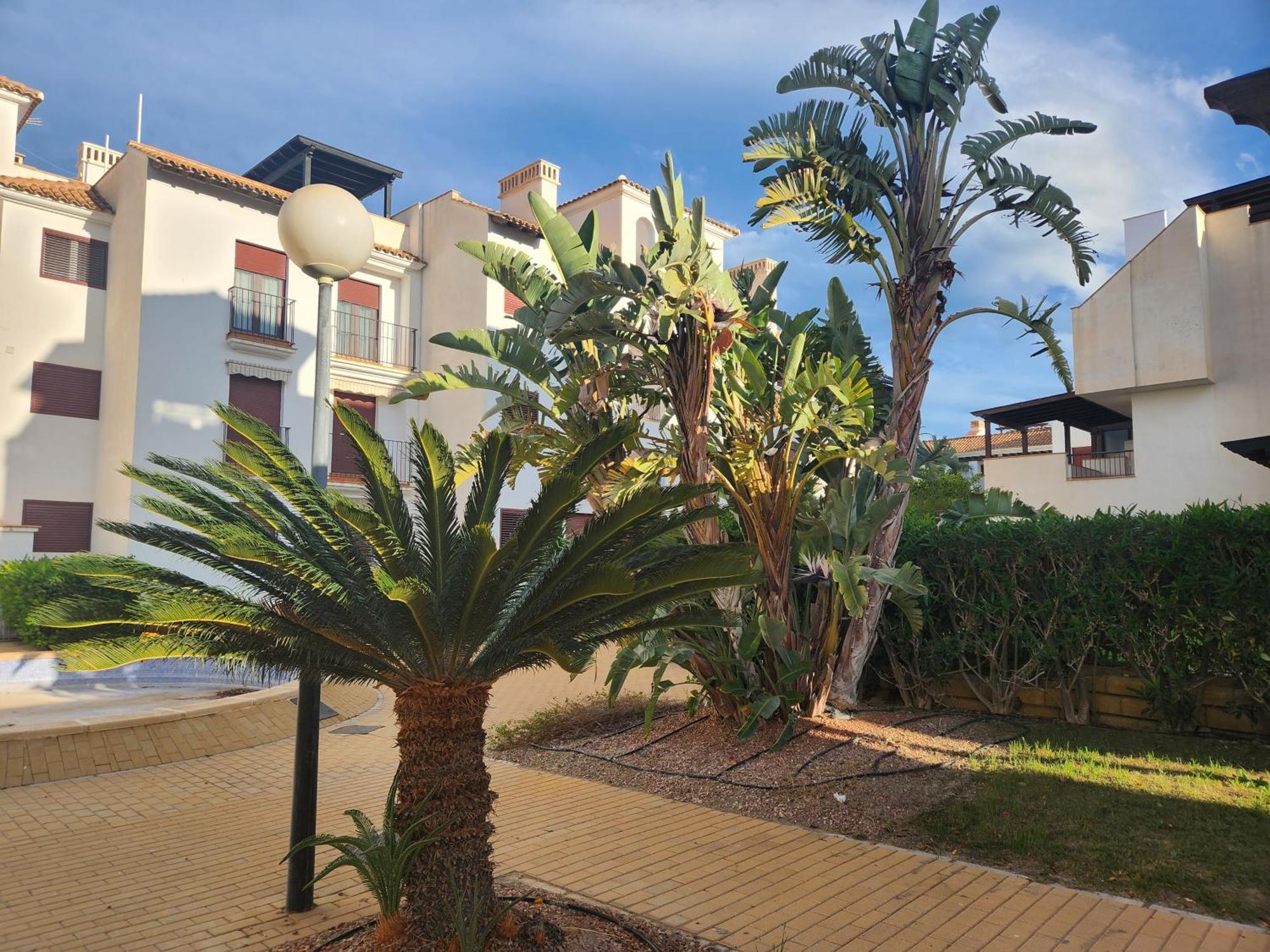 Apartment Precioso Bajo En Jardines De Nuevo Muy Cerca De La Piscina Comunitaria Y De La Salida A La Playa! Vera
